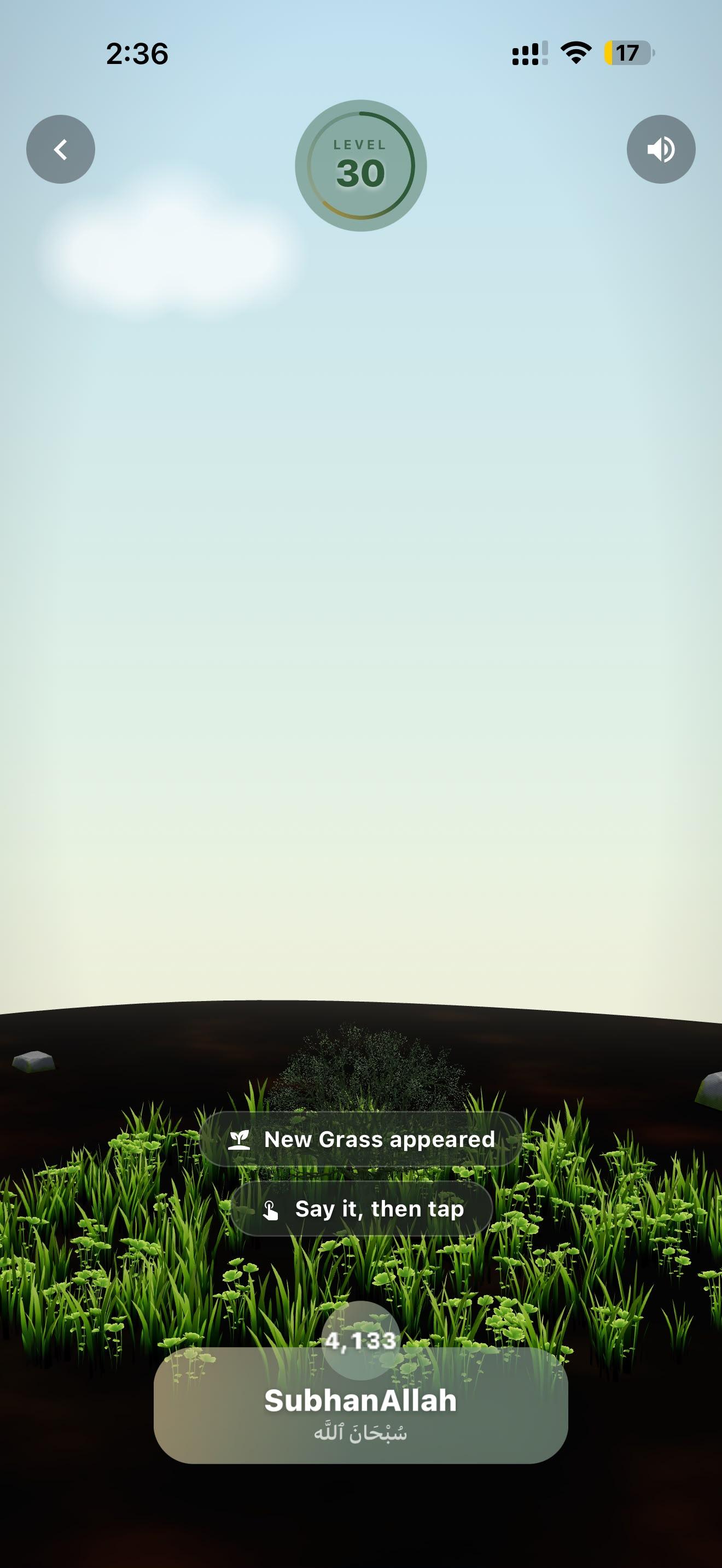 The gardeen SubhanAllah garden in daylight as tasbih is counted, the tree growing
